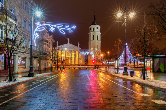 圣诞树晚上在维尔纽斯大教堂广场图片