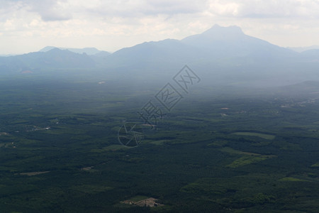 泰国南部安达曼海Krabi市附近有棕榈油种植园的山区图片