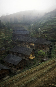 南部广西省长生村稻田的一个庄图片
