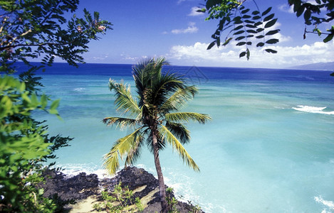 科摩罗大陆非洲印度洋昂儒岛科摩罗儒莫亚村海岸的景观图片