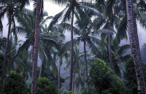 AfricaCoNOROSANJOOHAN非洲大陆印度洋的科摩罗内陆昂儒岛山地景观图片