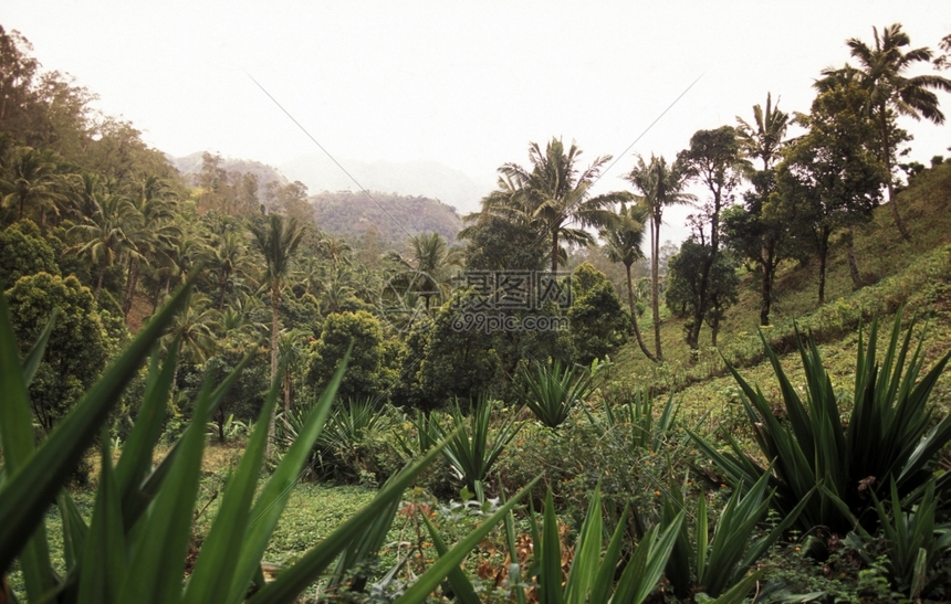 AfricaCoNOROSANJOOHAN非洲大陆印度洋的科摩罗内陆昂儒岛山地景观图片