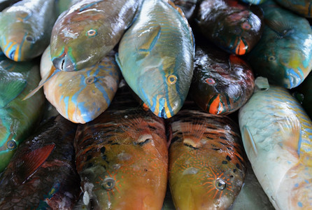 在泰国南部东亚Phuket岛Rawai海滩的一家餐馆Papagai鱼和海产食品图片