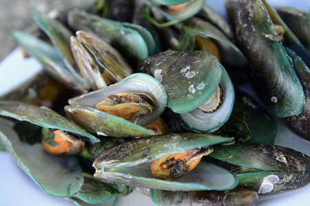 泰国南部东亚普吉岛拉瓦伊海滩的一家餐馆新鲜贝壳和海食品图片