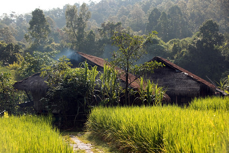 在泰国北部的东南亚省Chiangmai北部清道村附近的Lahu或Lisu少数民族的农村图片