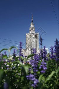 东欧波兰华沙市文化宫图片
