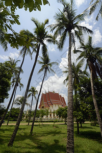 泰国东北部伊桑地区乌邦拉契塔尼西北部安纳特省湄公河LakhonPheng附近的TempelWatPakSaeng图片