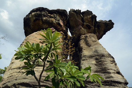 位于泰国东北部伊桑地区乌邦拉契塔尼西北部的阿姆纳特查伦省湄公河拉洪峰附近的自然公园SamPhanBok中的Kalkstone岩石图片
