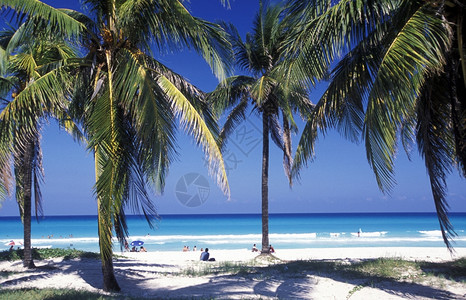 加勒比海古巴瓦拉德罗海岸的海滩美洲古巴瓦拉德罗海滩图片
