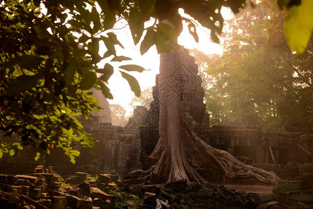 柬埔寨西部SiemRiep市附近的吴哥寺城班迭克代寺图片