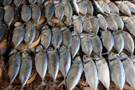 伊势市东南亚泰国曼谷市Banglamphu的Tewet市场上的鱼类背景