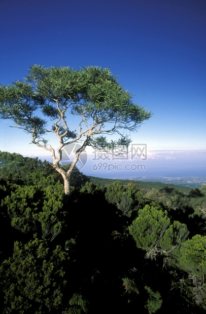 非洲印度洋留尼汪岛的大巴辛环绕着的风景图片