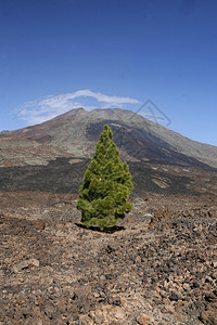 大西洋班牙加那利群岛的西班牙加那利群岛特内里夫的火山地表图片