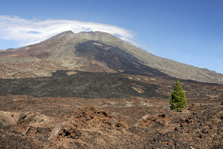 大西洋班牙加那利群岛的西班牙加那利群岛特内里夫的火山地表图片