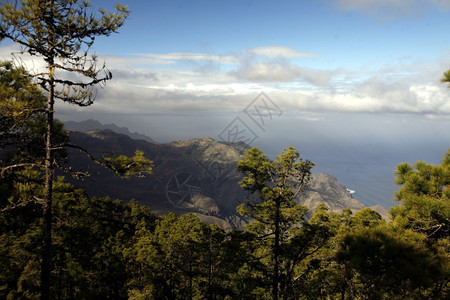a大西洋中班牙加那利岛中心大西洋班牙加那利岛中心塔马达巴山区景观图片