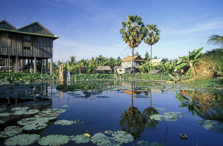 a东南部坎波迪亚省Phnompenh市外的农民村图片