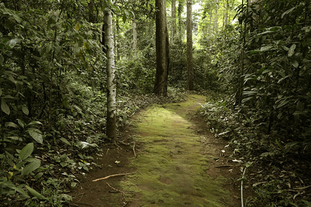 在泰国北部的东南亚泰国山北面的梅洪松道索邦村附近潘马法洞穴图片