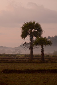 缅甸南部东Myeik市附近的一个村庄地貌图片