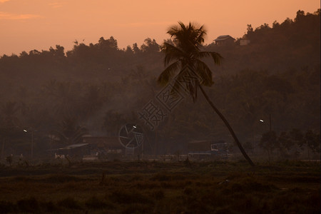 缅甸南部东Myeik市附近的一个村庄地貌图片