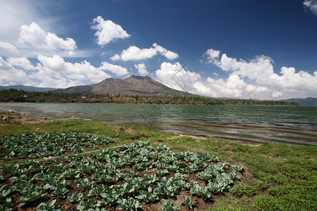 巴图尔湖的风景和巴图尔山在厘岛的图尔火山位于东南部的因多尼西亚图片