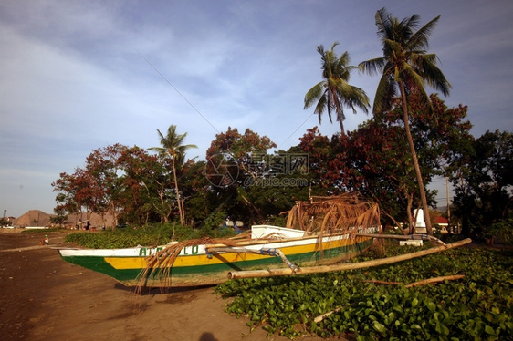 东帝汶南部力市的海岸和滩图片