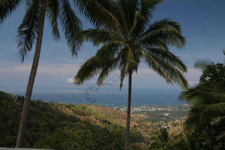 东帝汶南部的帝力市附近地貌上的一片小巷xA图片