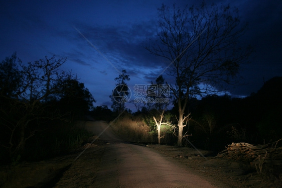 东帝汶南部Moubisse村附近的一条公路图片