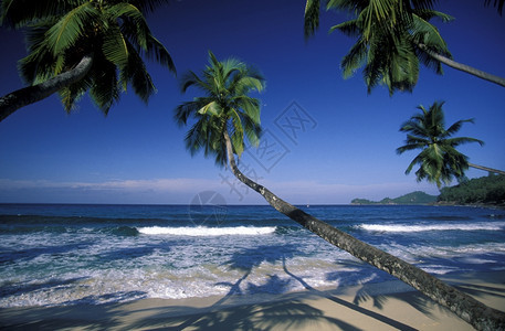 a海岸滩如果是印地安海中环礁群岛的Praslin岛图片