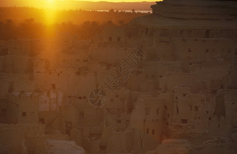 位于北非埃及西部沙漠或利比亚的绿洲古镇和西瓦村非洲埃及撒哈拉西瓦绿洲图片