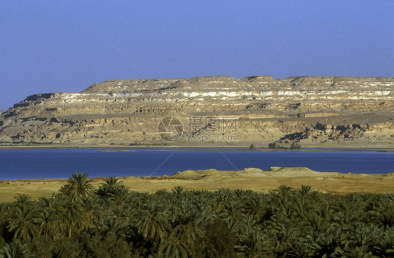 北非埃及西部沙漠里的绿洲和西瓦村的景观和自然非洲埃及撒哈拉西瓦绿洲图片