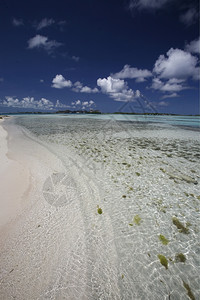 委内瑞拉海洋中洛斯罗克群岛GranRoque岛的GranRoque岛村庄的海滩图片