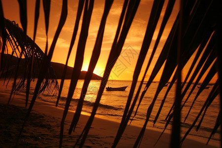 南美洲委内瑞拉海洋玛格丽塔岛曼扎尼略镇海滩上的岸图片