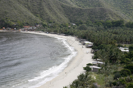 委内瑞拉加勒比海岸的Chuao镇海岸图片