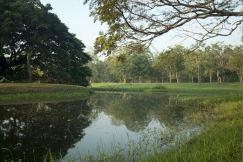 泰国东南方Bangkok以北的Ayutthaya市历史公园的景观图片