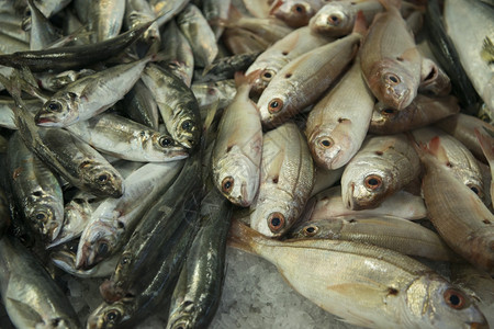 欧洲葡萄牙南部东阿尔加夫的奥霍老城市场大厅的鱼图片