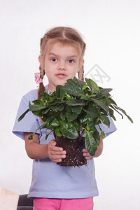 女孩抱着植物盆图片