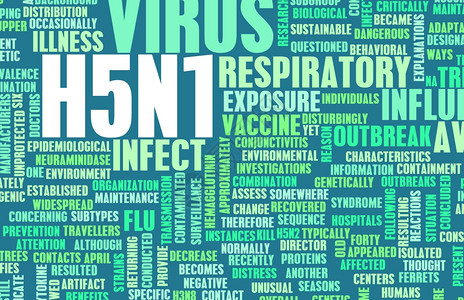 H5N1医学研究专题概念背景图片