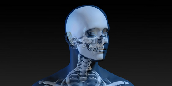 以Bones为科学概念的射电扫描图片