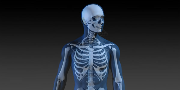 3D人体男身和Skeleton运行概念图片
