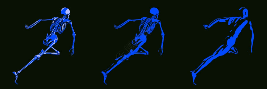 人体身和骨骼解剖X光概念图片
