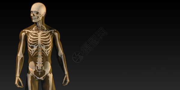 透明人与骨结构在移动中图片