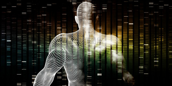 关于人体器官DNA结构的遗传研究关于人体器官的遗传研究图片