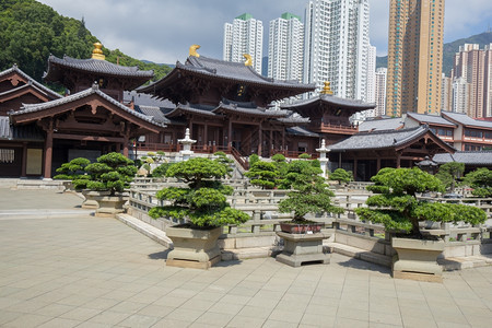 香港唐朝宗式寺庙ChilinNunnery图片