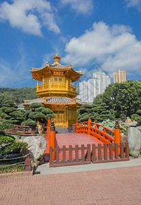 香港南连园金茶木塔图片
