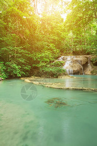 泰国坎查那布里省的Erawan瀑布一级有新长鳍石首鱼图片