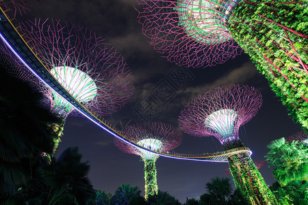 新加坡滨海湾新加坡晚上在海湾旁的花园灯光照亮的夜晚背景