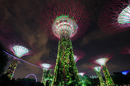 新加坡晚上在海湾旁的花园灯光照亮的夜晚图片