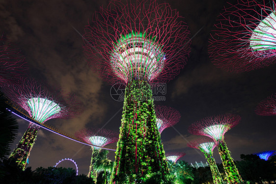 新加坡晚上在海湾旁的花园灯光照亮的夜晚图片