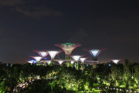 新加坡晚上在海湾旁的花园灯光照亮的夜晚图片