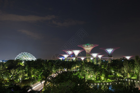 新加坡晚上在海湾旁的花园灯光照亮的夜晚图片